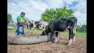 Strengthening Veterinary Services in Zambia