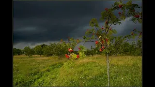 Тонкая рябина - русская народная песня