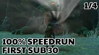 ZELDA TEARS OF THE KINGDOM 100% SPEEDRUN - 29:45:16 [WORLD RECORD] (1/4)