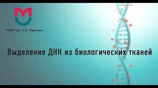 Выделение ДНК из биологических тканей  Абитуриенты РНИМУ