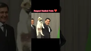 Respect Vladimir Putin ❤️ Vladimir Putin loves dog #shorts #putin #russia #shortvideo