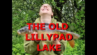 (PhoneVlog) The old lillypad lake | Carp fishing | June 2021