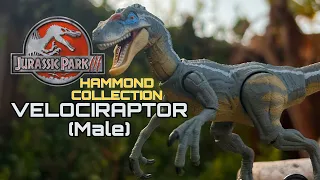 (NEW) Hammond collection Jurassic Park 3 Velociraptor Toy Review #jurassicworld #toys #toyreview