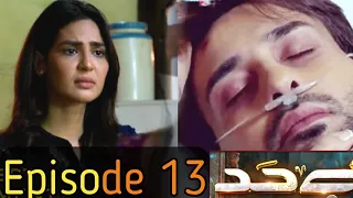 bayhud 13 episode full | bayhud latest episode | top Pakistani drama| drama reviews