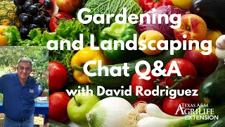 Gardening and Landscaping Chat Q&A with David Rodriguez