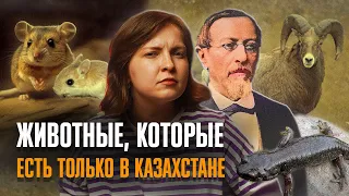 Какие животные есть только в Казахстане? Эндемики