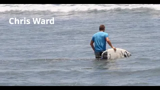 pro surfer chris ward surfing in indonesia. 2K.