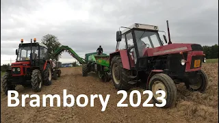 🥔Brambory 2023 - Zetor 12211, Zetor 7245, Netagco Reekie 🚜