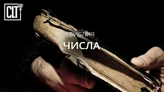 Числа | Ветхий завет | Библия