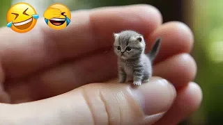 Best Funniest Cats 😹 - Don't try to hold back Laughter 😂 Funny Cats 2023 #84