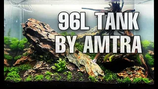 Dragon Stone Aquascape inside of a 96L tank by Amtra