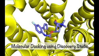 Molecular Docking Using Discovery Studio