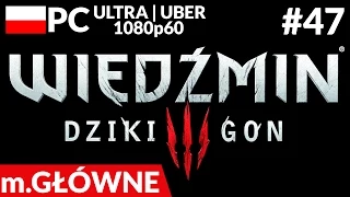 Wiedźmin 3: Dziki Gon #47 (MG #32) - Jaskier?