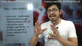 Monoclonal antibody production | Hybridoma technology explained
