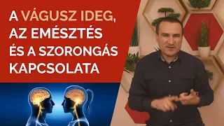 A vágusz ideg, az Emésztés és a Szorongás kapcsolata