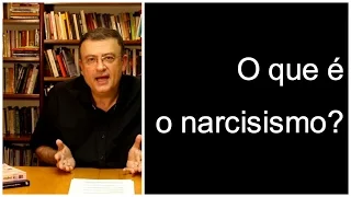 O que é narcisismo? | Christian Dunker | Falando nIsso 29