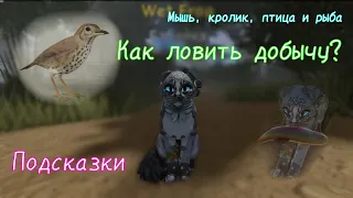 КАК ЛОВИТЬ ДОБЫЧУ В WC:UE?? (☆▽☆)