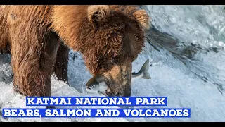 Top Sights at Katmai National Park | Best Park to see Bears, Jumping Salmon and Volcano Ash Valley