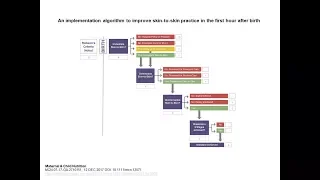 HCP S2S IA SKin to Skin Implementation Algorithm