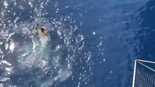 TOP VIEW OF JUMPING OFF US AIRCRAFT CARRIER