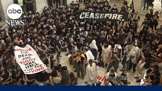 Protesters on Capitol Hill call for Gaza ceasefire