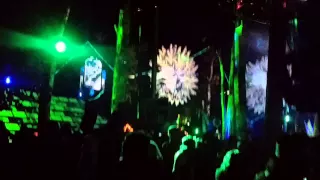 Jillionaire of Major Lazor @ Fractal Forest Shambhala 2015