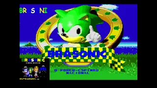 Sonic: Fan Games/Hacks 411: BraSonic (BrazSonic) (SAGE2005)