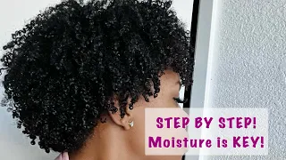 3 easy steps for a moisturizing Wash and go! | DRY natural hair|