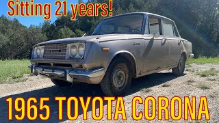 ABANDONED - Will it run and drive? - 1965 Toyota Corona