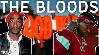 The Story Of The Bloods