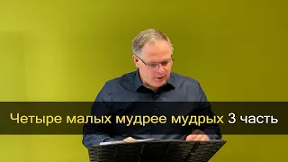 «Четыре малых мудрее мудрых». (3 часть) Виктор Щербинкин.