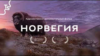 Фильм о путешествии в Норвегию | «Место, которого нет» | Норвегия