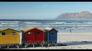 Colourful beach huts on Muizenberg beach, Cape Peninsula, Cape Town, Western Cape, South Africa, ...