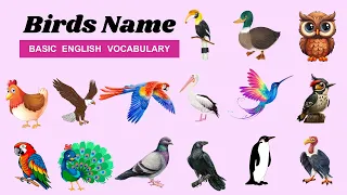 50 Birds Name in English - Birds Picture and Name for Kids - Kids Learning Video - Bird Vocabulary