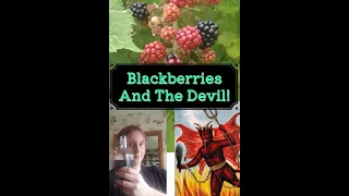 Blackberries And the Devil!!