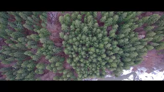 Xiaomi Mi Drone 4K Cinematic Footage | Flying Near Ciucas