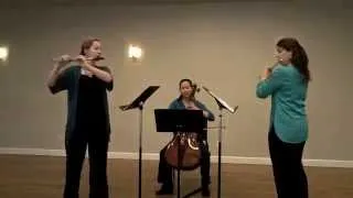 Haydn London Flute Trio No 1: Allegro Moderato