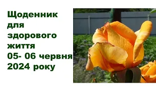 Щоденник важливих справ на городі, в садочку, на квітнику, для здоров'я 05-06 червня 2024 року