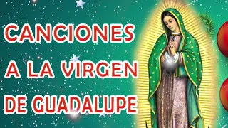 La Virgen De Guadalupe  - Cántos a la virgen de Guadalup - Mañanitas Guadalupanas