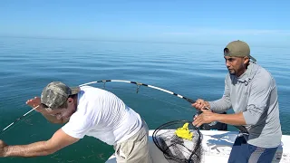 Pesca De Tiburones, Pesca Y cocina