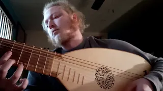 Cover of dArtagnan ft. Candice Night - "We're gonna be drinking" on 8c Renaissance Lute