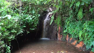 FULL VIDEO: 100 Days solo bushcraft in the rainforest, Survival Alone, OFF GRID LIVING