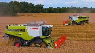 Claas Lexion 760 & 750 Terra Trac / Wheat harvest 2021 / TJ van Loco / Dezeure / 4K / Agricultural