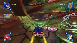 Team Sonic Racing