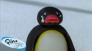 Pingu’s Emotions | Pingu - Official Channel | Cartoons For Kids