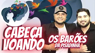 Os Barões Da Pisadinha - CABEÇA VOANDO (Ao Vivo )