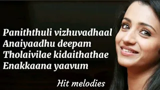 Panithuli song lyrics (clean lyrics💖) | Raangi Movie | Trisha | hit melodies
