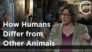 Julia Mossbridge - How Humans Differ from Other Animals
