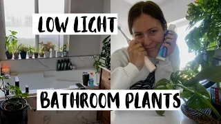 Houseplants For The Bathroom! | Plants I Keep In The Bathroom!