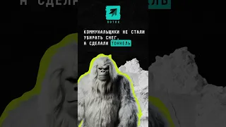 Коммунальщики не стали убирать снег, а сделали тоннель в Подмосковье #новости #поток #подмосковье